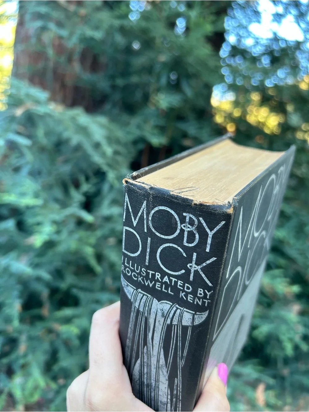 N/A classic moby